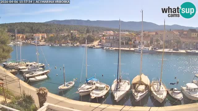 Camera Vrboska | Isla de Hvar | Croacia