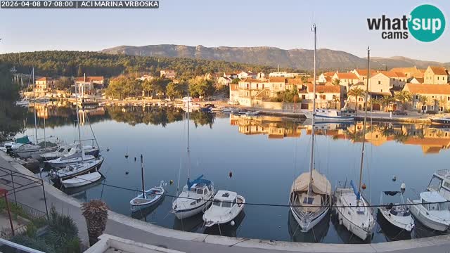 Camera Vrboska | Isla de Hvar | Croacia