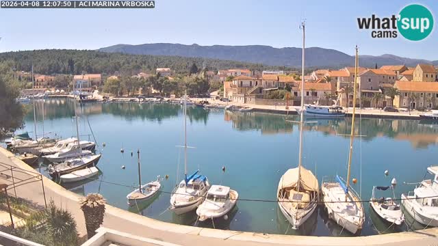 Vrboska livecam | Isola di Hvar | Croazia