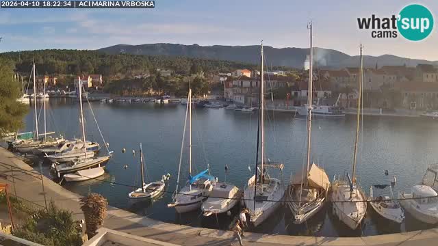 Vrboska livecam | Isola di Hvar | Croazia