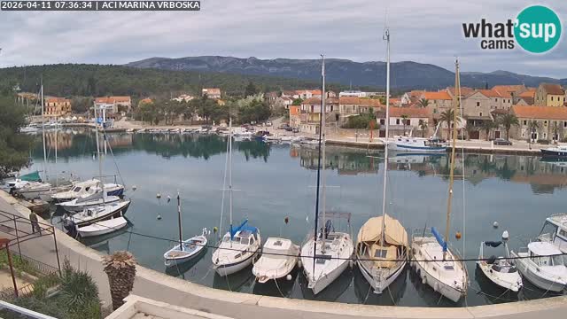 Vrboska livecam | Isola di Hvar | Croazia