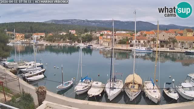 Vrboska web kamera | otom Hvar | Dalmacija