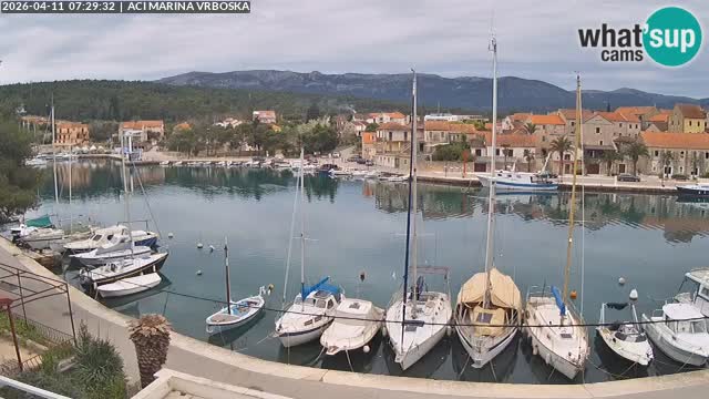 Vrboska web kamera | otom Hvar | Dalmacija