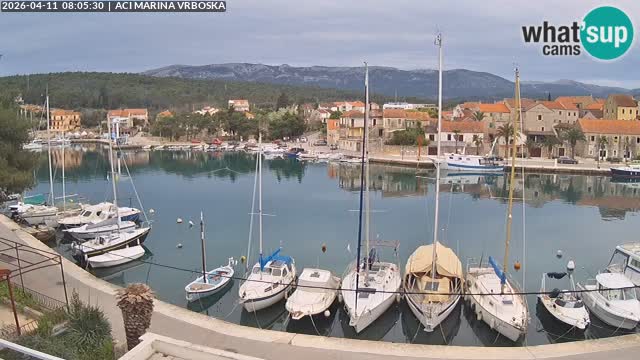 Vrboska Île de Hvar | Croatie