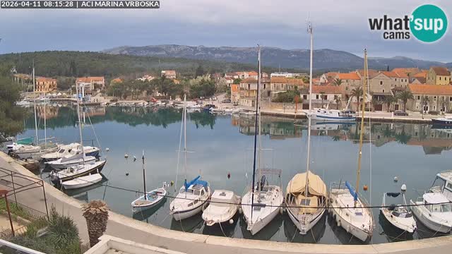 Vrboska web kamera | otom Hvar | Dalmacija