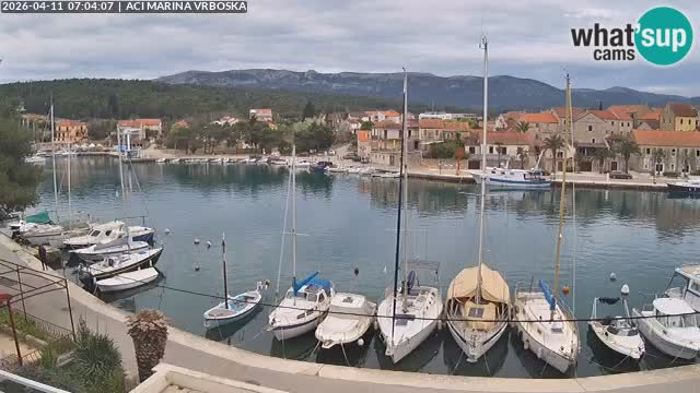 Vrboska livecam | Isola di Hvar | Croazia