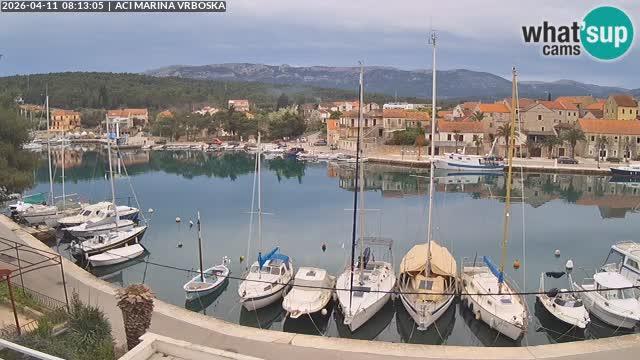 Vrboska web kamera | otom Hvar | Dalmacija
