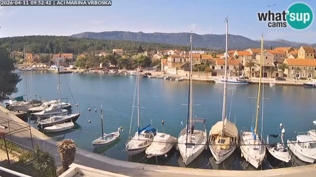 Vrboska web kamera | otom Hvar | Dalmacija