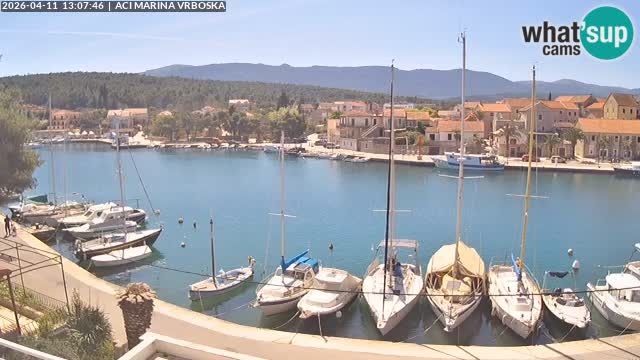 Vrboska Île de Hvar | Croatie