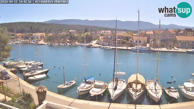 Camera Vrboska | Isla de Hvar | Croacia