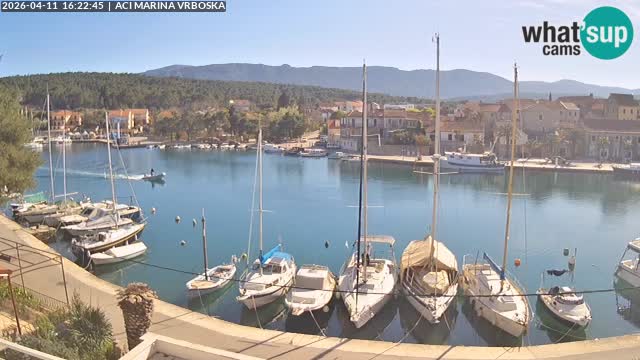Vrboska Île de Hvar | Croatie