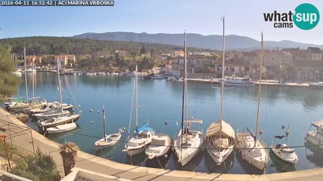 Vrboska web kamera | otom Hvar | Dalmacija