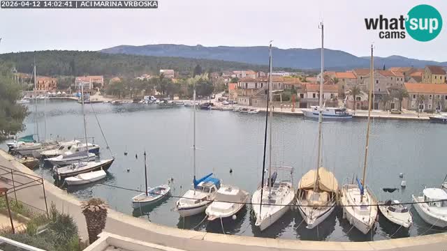 Vrboska Île de Hvar | Croatie