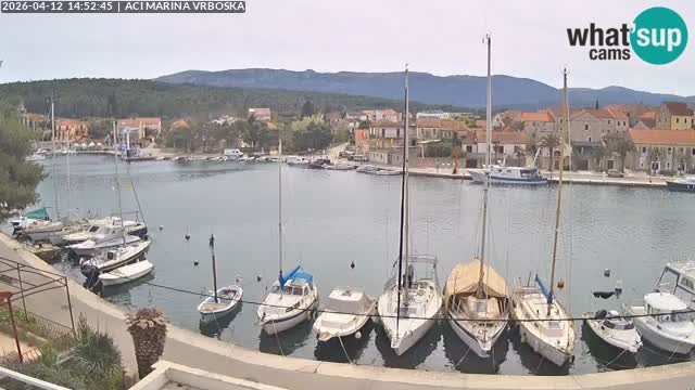 Vrboska web kamera | otom Hvar | Dalmacija