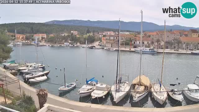 Vrboska Île de Hvar | Croatie