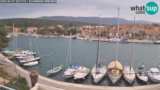 Vrboska web kamera | otom Hvar | Dalmacija