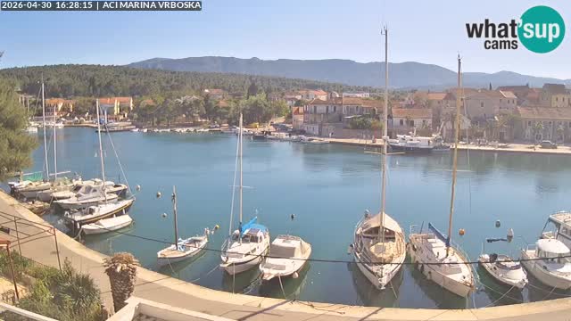Vrboska web kamera | otom Hvar | Dalmacija