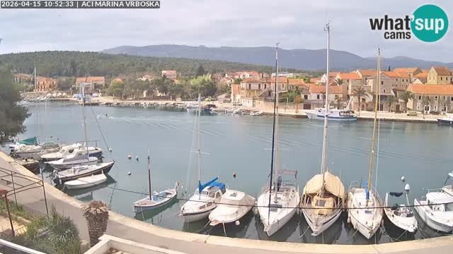 Camera Vrboska | Isla de Hvar | Croacia