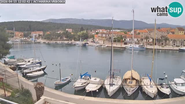 Vrboska web kamera | otom Hvar | Dalmacija