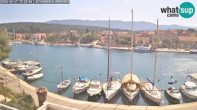 Vrboska Île de Hvar | Croatie
