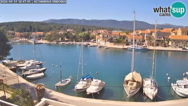 Vrboska webcam | Hvar Insel | Kroatien