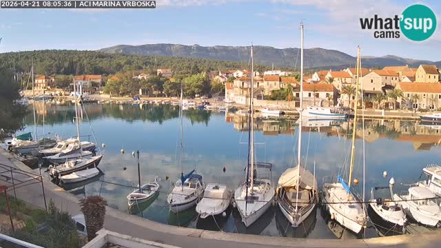 Vrboska Île de Hvar | Croatie