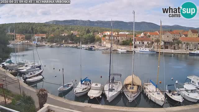 Vrboska livecam | Isola di Hvar | Croazia