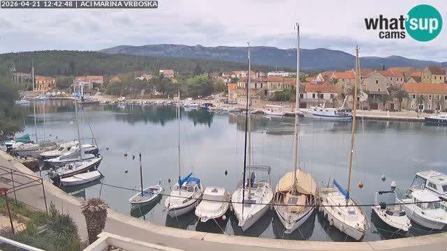 Spletna kamera Vrboska | Otok Hvar | Hrvaška