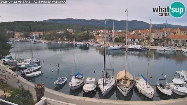 Vrboska livecam | Isola di Hvar | Croazia