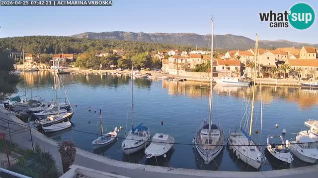 Camera Vrboska | Isla de Hvar | Croacia