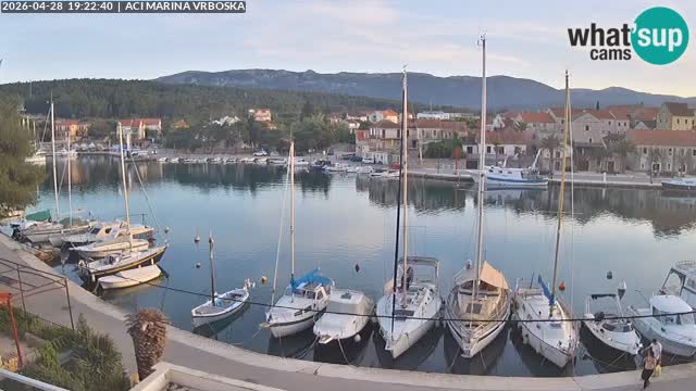 Vrboska Île de Hvar | Croatie