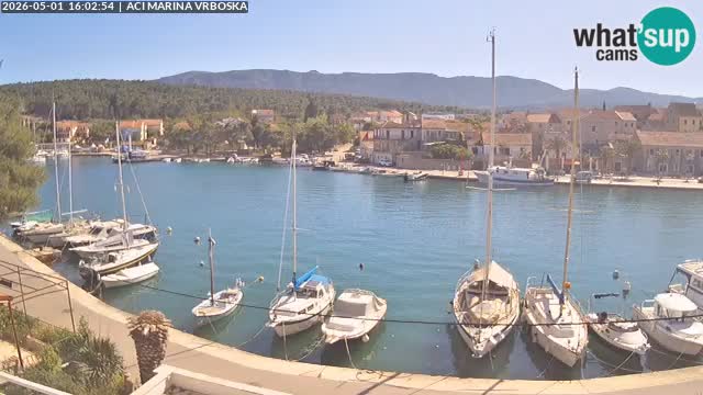 Vrboska livecam | Isola di Hvar | Croazia