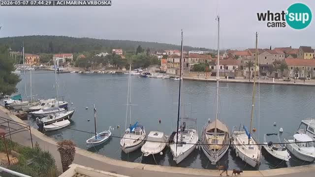 Camera Vrboska | Isla de Hvar | Croacia