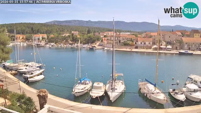 Camera Vrboska | Isla de Hvar | Croacia