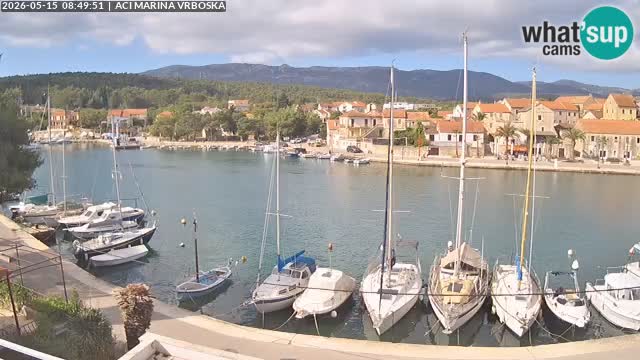 Vrboska Île de Hvar | Croatie