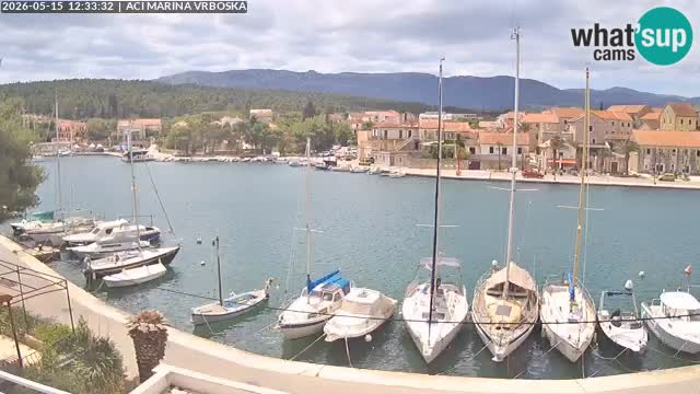 Vrboska webcam | Island of Hvar | Croatia
