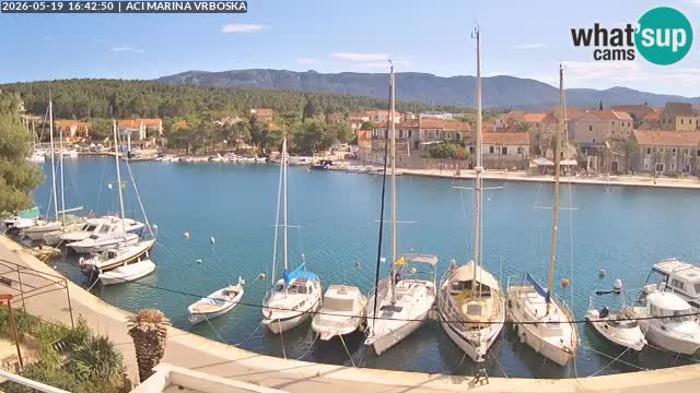 Vrboska livecam | Isola di Hvar | Croazia