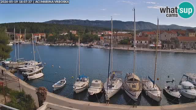 Vrboska Île de Hvar | Croatie