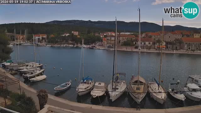 Camera Vrboska | Isla de Hvar | Croacia