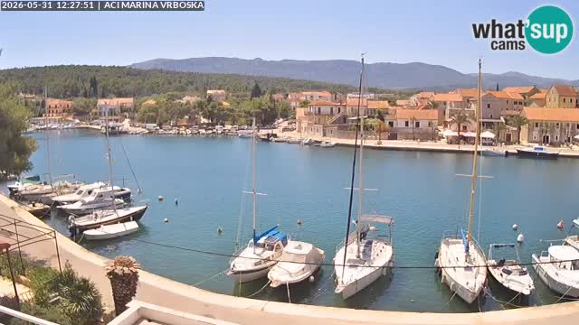 Vrboska livecam | Isola di Hvar | Croazia