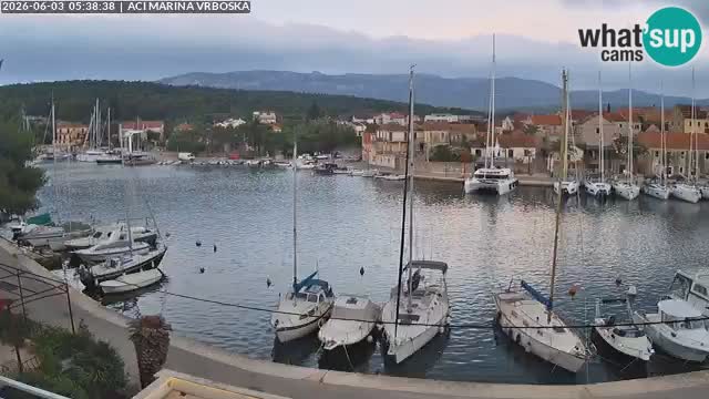 Camera Vrboska | Isla de Hvar | Croacia