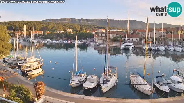 Camera Vrboska | Isla de Hvar | Croacia