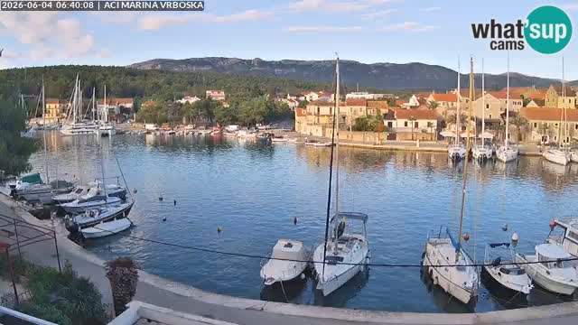 Vrboska Île de Hvar | Croatie