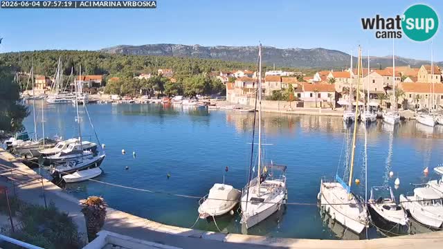 Vrboska Île de Hvar | Croatie