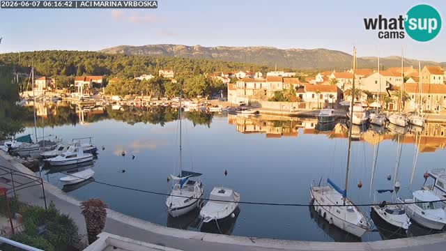 Vrboska Île de Hvar | Croatie