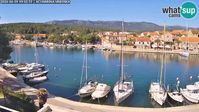 Vrboska Île de Hvar | Croatie
