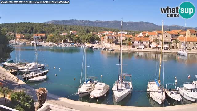 Vrboska webcam | Hvar Insel | Kroatien