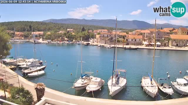 Camera Vrboska | Isla de Hvar | Croacia