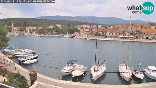 Vrboska Île de Hvar | Croatie