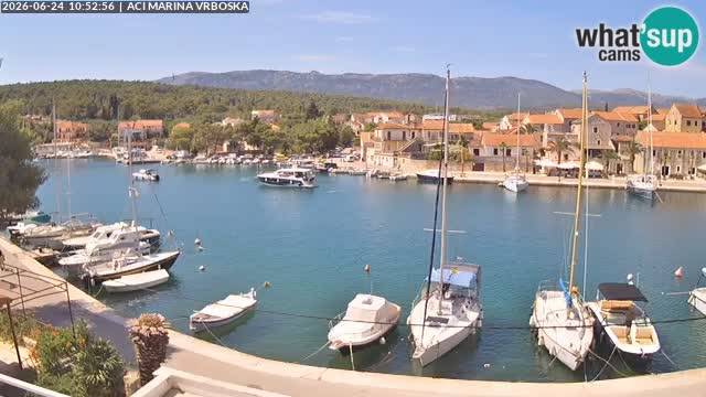 Vrboska livecam | Isola di Hvar | Croazia